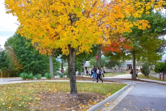 Autumn on Campus